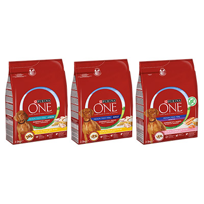 Purina ONE® - MEDIUM/MAXI